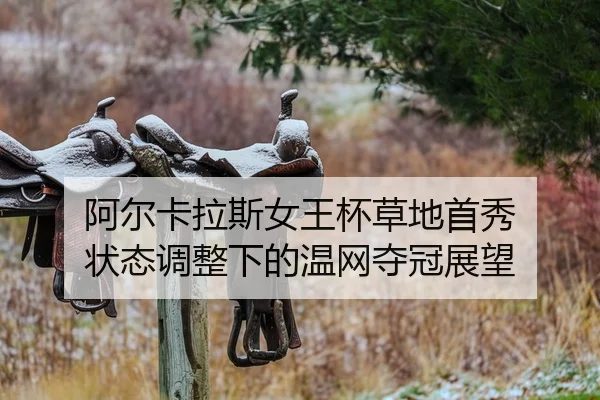 a-er-ka-la-si-nv-wang-bei-cao-di-shou-xiu-zhuang-tai-tiao-zheng-xia-de-wen-wang-duo-guan-zhan-wang-2-259.jpg