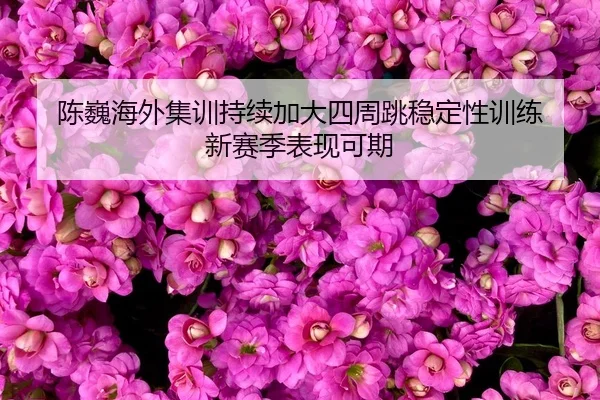 chen-wei-hai-wai-ji-xun-chi-xu-jia-da-si-zhou-tiao-wen-ding-xing-xun-lian-xin-sai-ji-biao-xian-ke-qi-2-908.jpg
