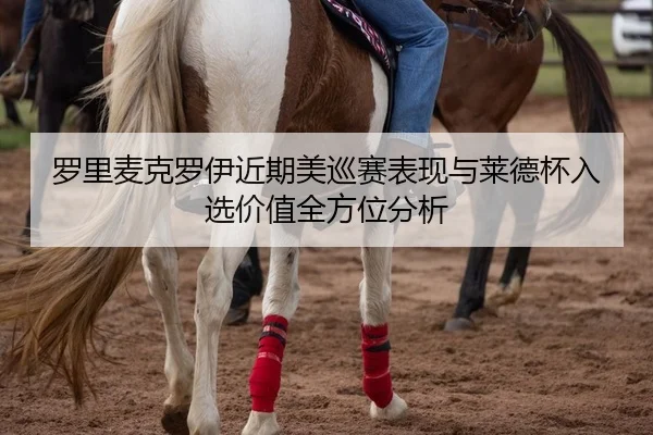 罗里麦克罗伊近期美巡赛表现与莱德杯入选价值全方位分析